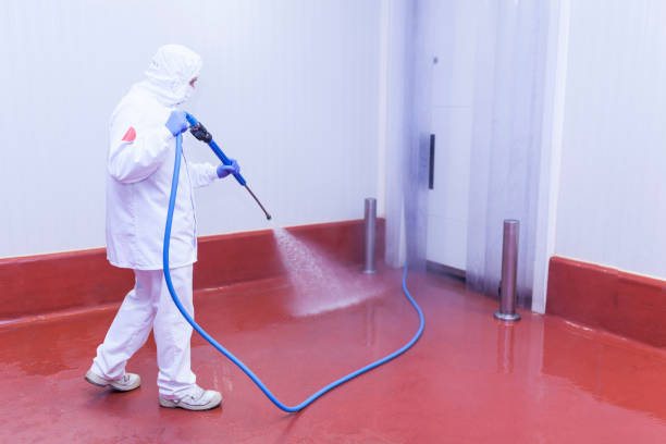 Best Graffiti Removal  in Whitney, TX