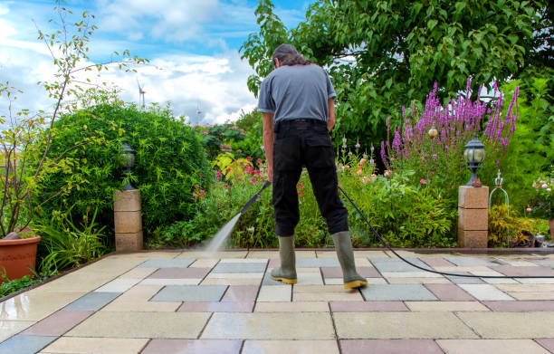 Best Animal Enclosure Cleaning  in Whitney, TX